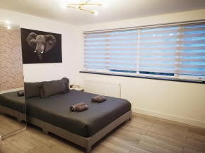 Stylish Studio minutes away from Wembley